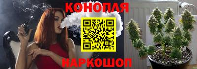 прущие грибы Заволжье