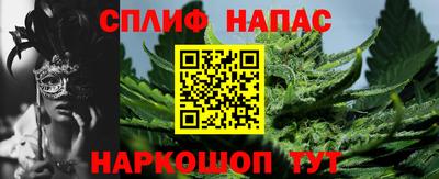 прущие грибы Заволжье