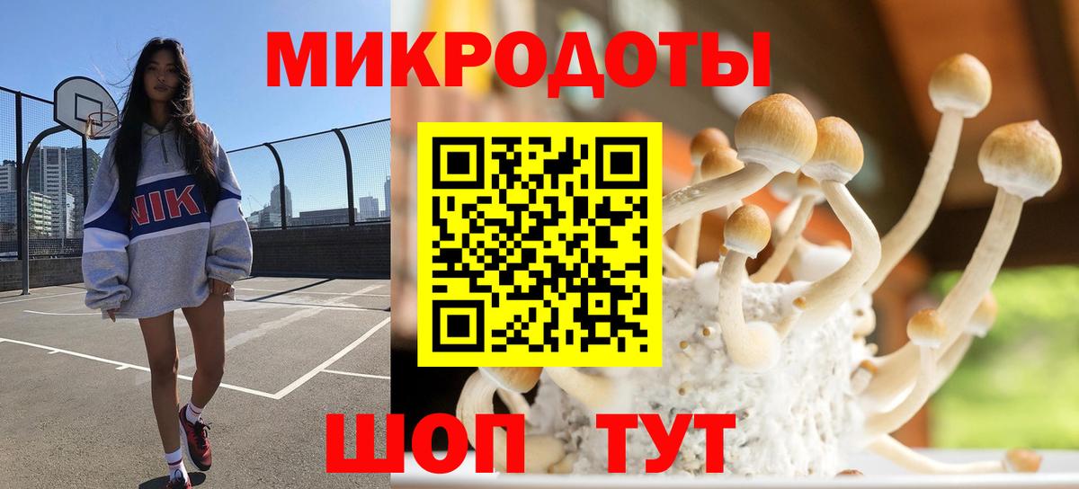 Красноярск  купить наркотик  Галлюциногенные грибы GOLDEN TEACHER  Вход с VPN  Псилоцибиновые грибы GOLDEN TEACHER 